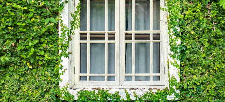 Garden Window Repair Near Me in Menlo Park, CA