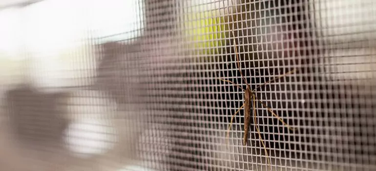 Repair Mosquito Mesh For Windows in Menlo Park, CA